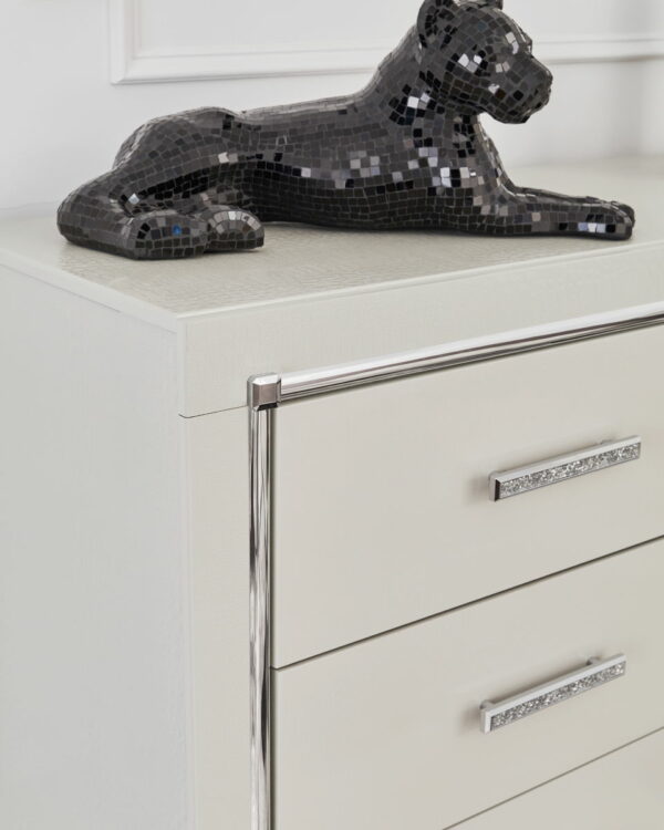 Zyniden - Silver - Six Drawer Dresser - Image 8