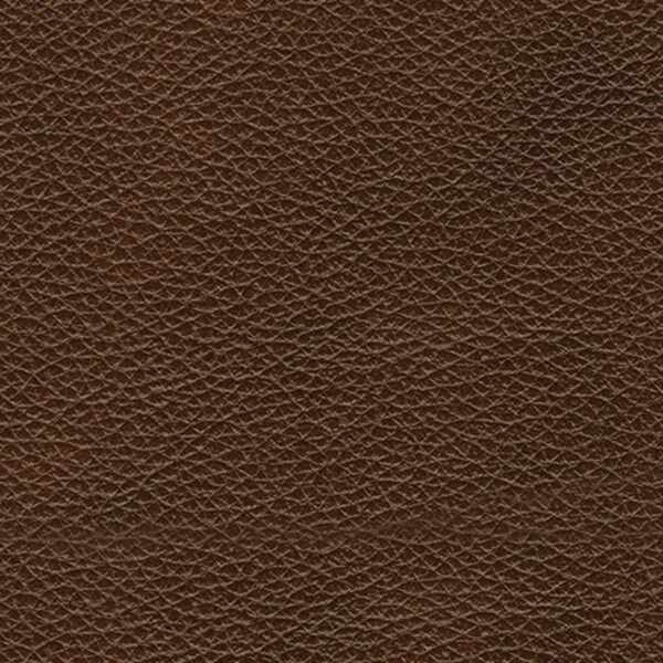 Edmar - Reclining Sofa - Image 10