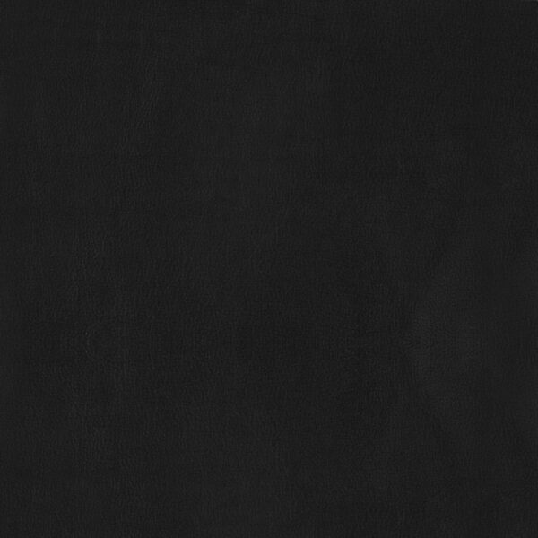 Aaron - Padded Seat Accent Chair - Black - Image 4