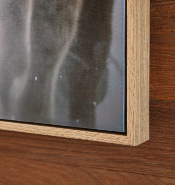 Chaseburn - Brown / Black / White - Wall Art - Image 5