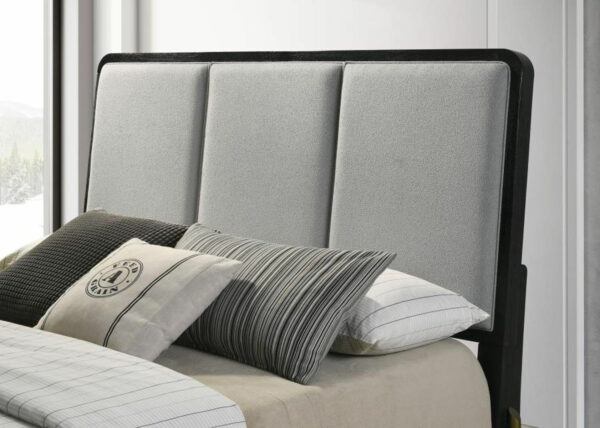 Arini - Upholstered Panel Bed - Image 24
