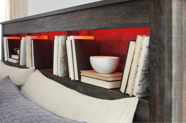 Drystan - Panel Bookcase Bed - Image 8