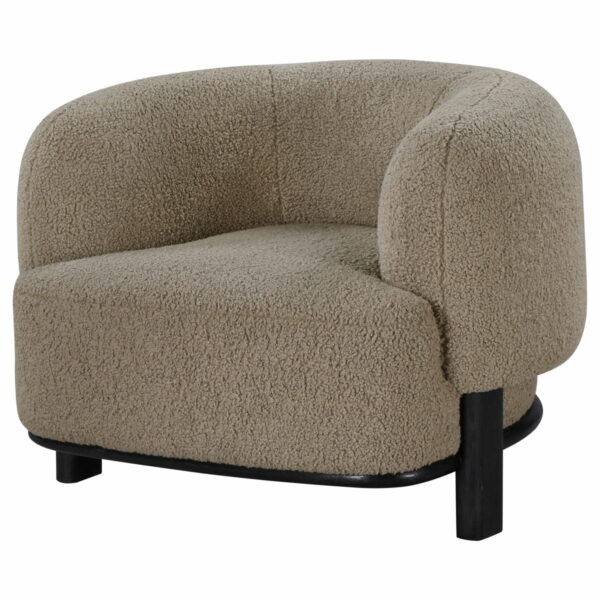 Lawler - Upholstered Barrel Back Accent Chair - Image 9