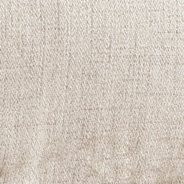 Tartonelle - Ivory / Taupe - Accent Chair - Image 4