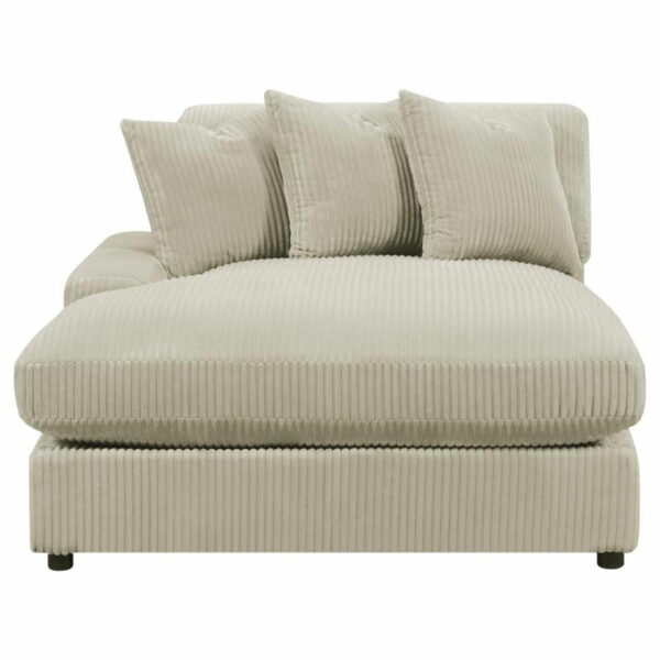 Blaine - Upholstered Reversible Chaise Sectional Sofa - Image 21
