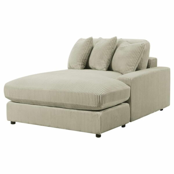 Blaine - Upholstered Reversible Chaise Sectional Sofa - Image 3