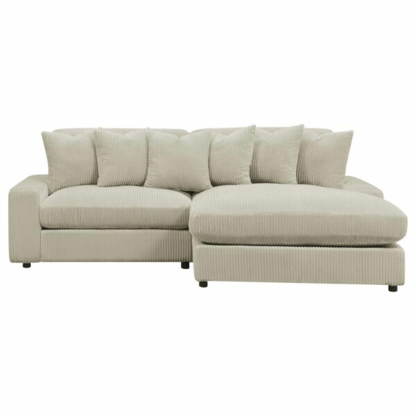 Blaine - Reversible Upholstered Chaise Sectional Sofa - Image 20