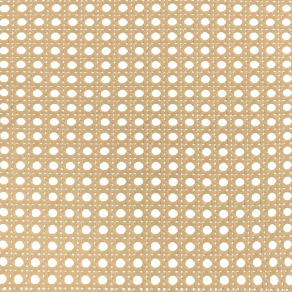 Lanewood - Open Cane Rattan Metal Bed - Image 36