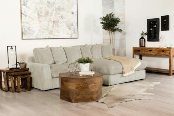 Blaine - Upholstered Reversible Chaise Sectional Sofa - Image 18