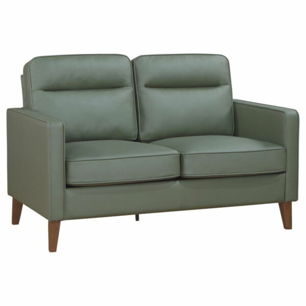 Jonah - Upholstered Track Arm Sofa Set - Image 17
