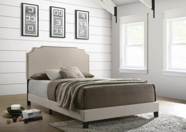Tamarac - Upholstered Panel Bed - Image 10