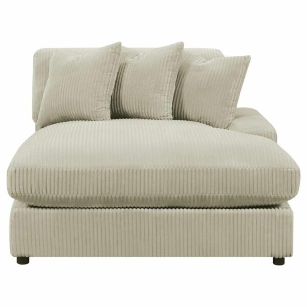 Blaine - Upholstered Reversible Chaise Sectional Sofa - Image 27