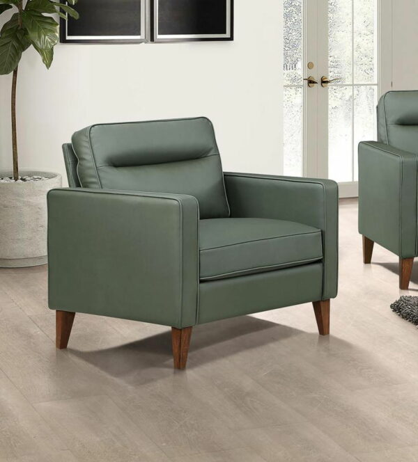 Jonah - Upholstered Track Arm Accent Chair - Image 9