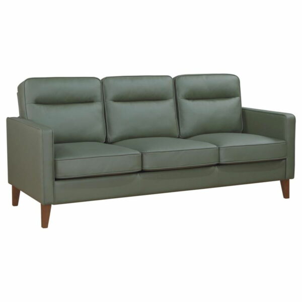 Jonah - Upholstered Track Arm Sofa Set - Image 16