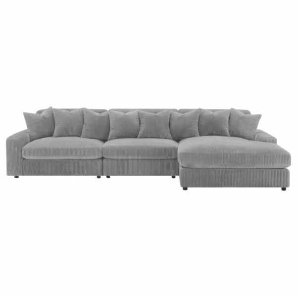 Blaine - Reversible Upholstered Chaise Sectional Sofa - Image 3