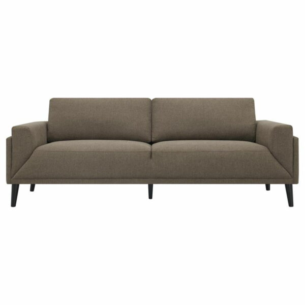 Rilynn - Upholstered Track Arm Sofa - Image 4
