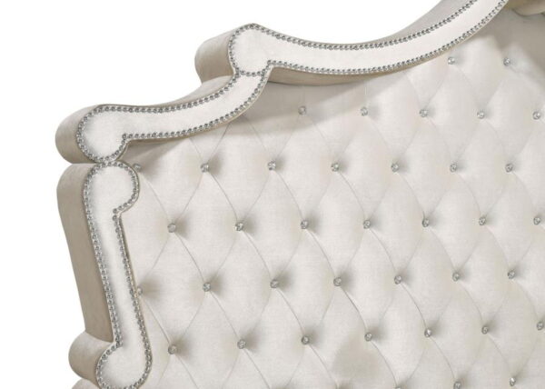 Antonella - Upholstered Panel Bed - Image 13
