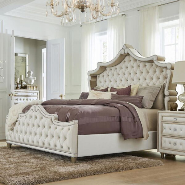 Antonella - Upholstered Panel Bed - Image 11