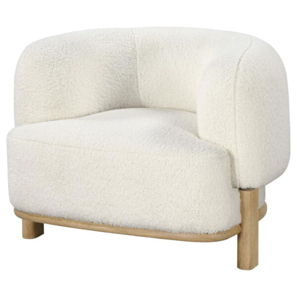 Lawler - Upholstered Barrel Back Accent Chair - Image 4