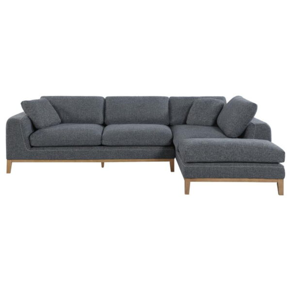 Persia - Upholstered Track Arm Sectional Sofa - Gray - Image 7