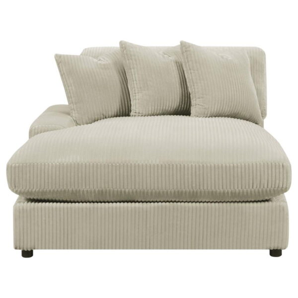 Blaine - Upholstered Reversible Chaise Sectional Sofa - Image 5