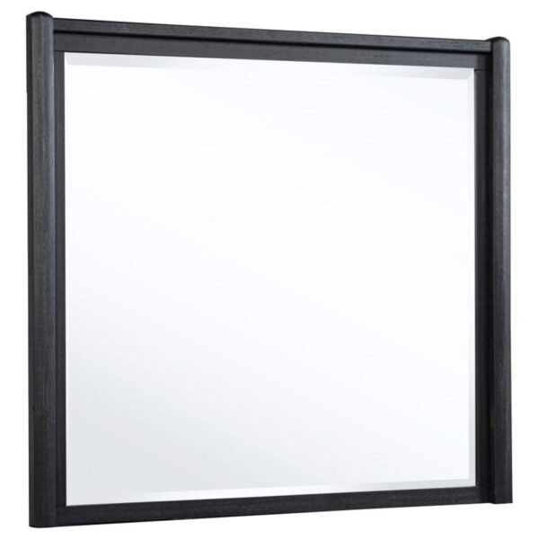 Leandro - Dresser Mirror - Burnished Black